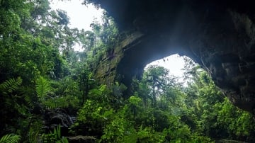 Cómo llegar al Parque Cuevas de los Guacharos. Guía completa