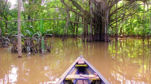Consejos para viajar al Amazonas colombiano. Todo lo que tienes que saber