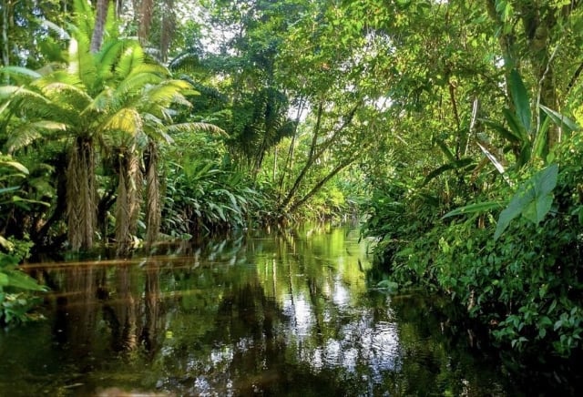 Come arrivare al Parco Nazionale Amacayacu in Amazzonia e tutte le informazioni che devi sapere