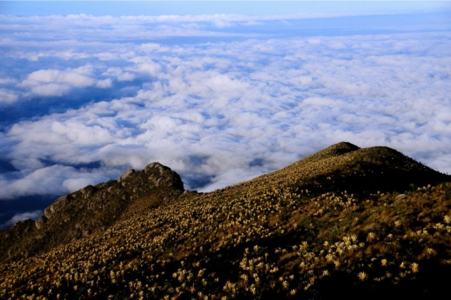 Cómo llegar al Páramo del Sol, el lugar más alto de Antioquia