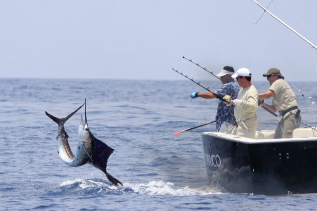 Reglamentación y veda para la pesca deportiva en Colombia