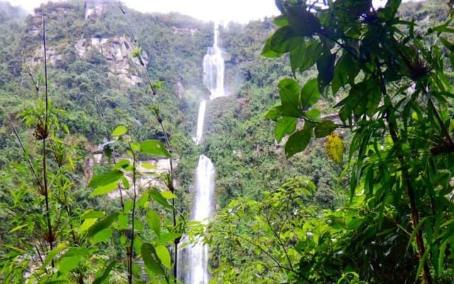 Cómo llegar a La Chorrera, la cascada más alta de Colombia