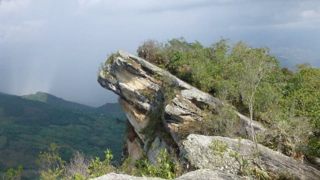Los más lindos parques naturales en Cundinamarca para disfrutar de la naturaleza