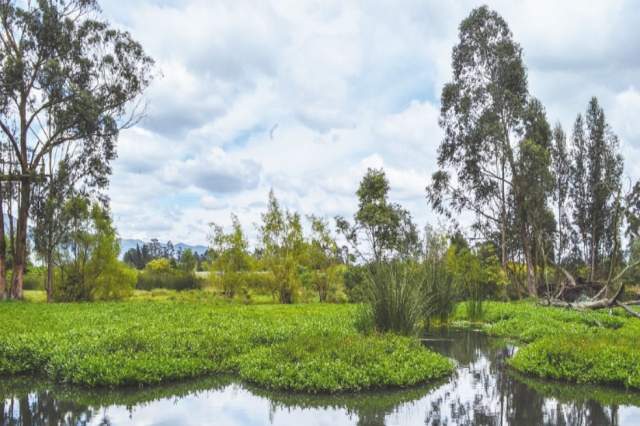 Conoce los humedales en Colombia que son de gran importancia para el mundo