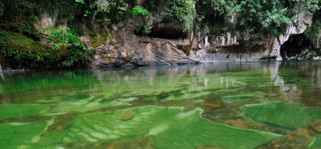 Cómo llegar a Río Claro. Conoce la selva entre Bogotá y Medellín