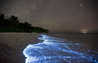 Descubre estás increíbles playas bioluminiscentes en Colombia