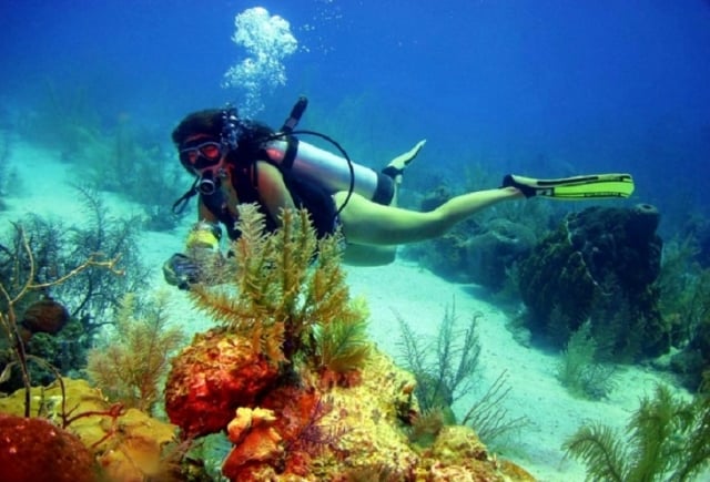 The best places to dive in Santa Marta 
