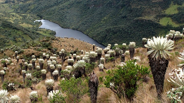 Cómo llegar al increíble Páramo de Ocetá en Boyacá