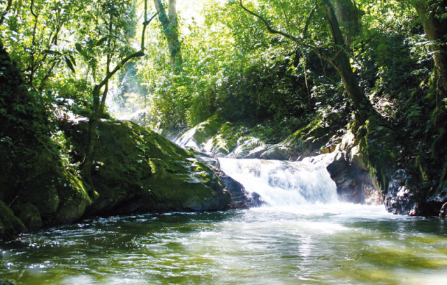 Slow Travel en Colombia - Minca
