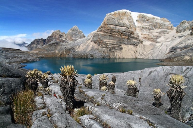 Cómo llegar al Nevado El Cocuy en Boyacá, recomendaciones y más.