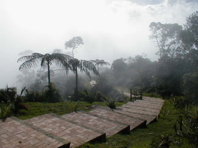 acampar cerca de Bogotá