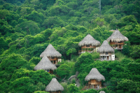 The best hotels in Tayrona Park and its surroundings 
