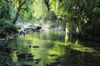 Descubre el Río Melcocho, el más transparente de Colombia y cómo llegar