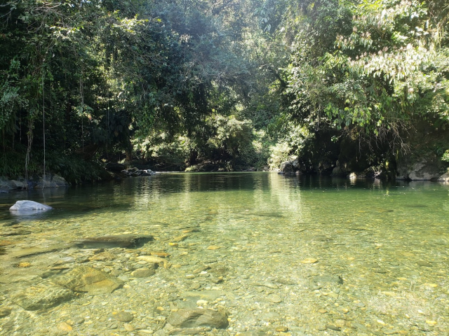 Río Melcocho