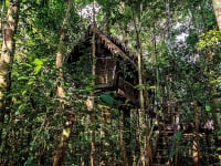 Plan Amazonas Camino del Huito 4 días y 3 noches