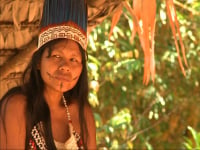 Plan en el Amazonas, Kaya Marasha entre Colombia y Perú 4 días y 3 noches