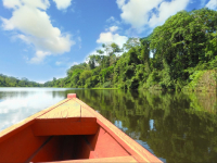 Plan Karupa 4 días: el encanto del Amazonas