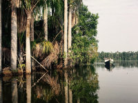 Plan Karupa 4 días: el encanto del Amazonas