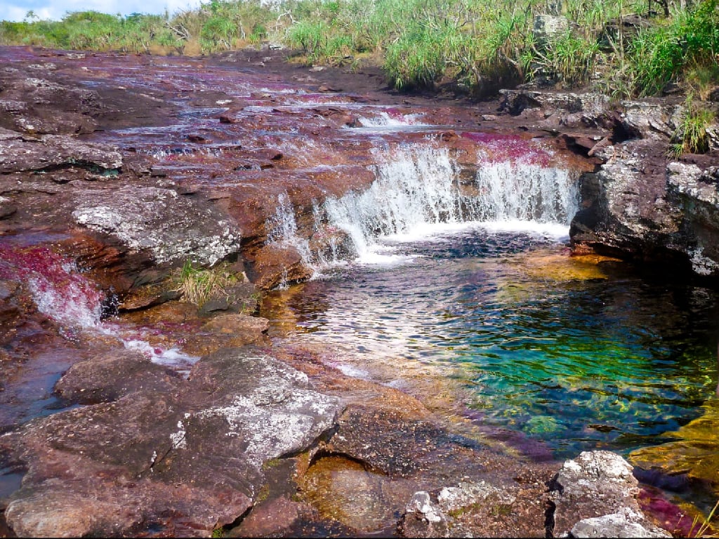 Caño Cristales 3 days from Macarena