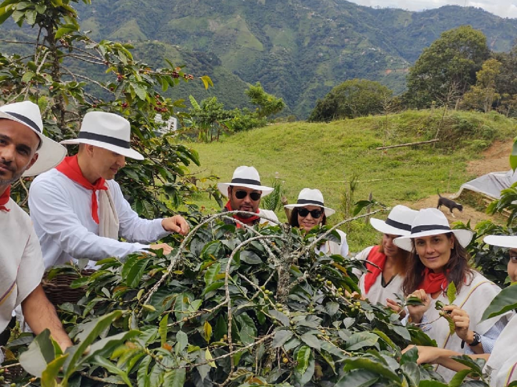 Experiencia Cafetera en Medellín