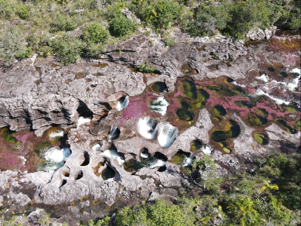 Río de Colores y Charco Moriche en Caño Cristales, 4 días y 3 noches
