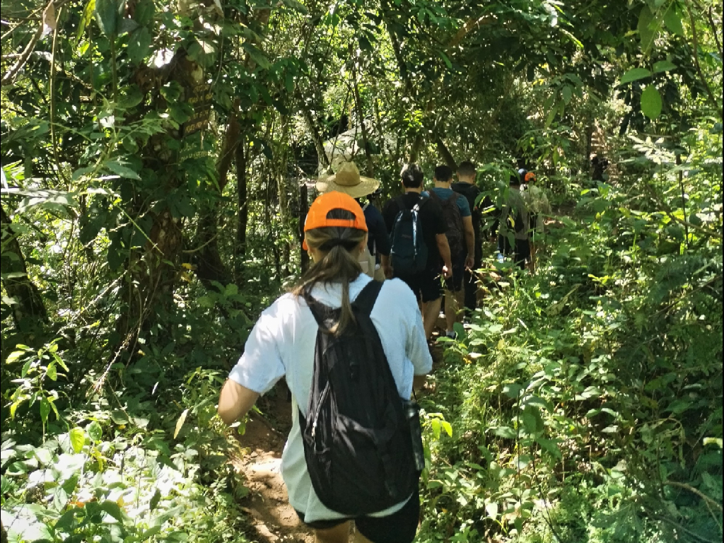 Tour Minca: Cascada Escondida y Mirador