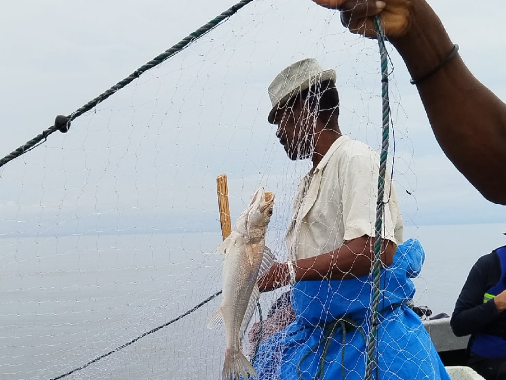 Experiencia Pacífico en Guapi entre el Mar y el Rio 3 días