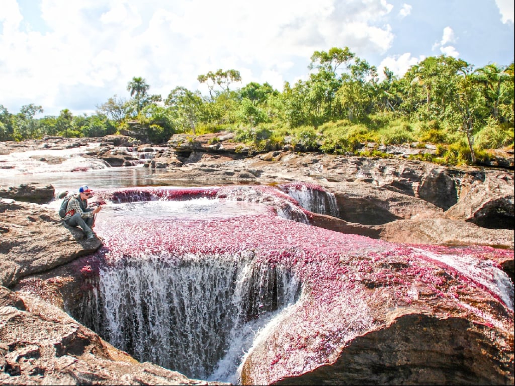 Tour to Caño Cristales 5 days and 4 nights