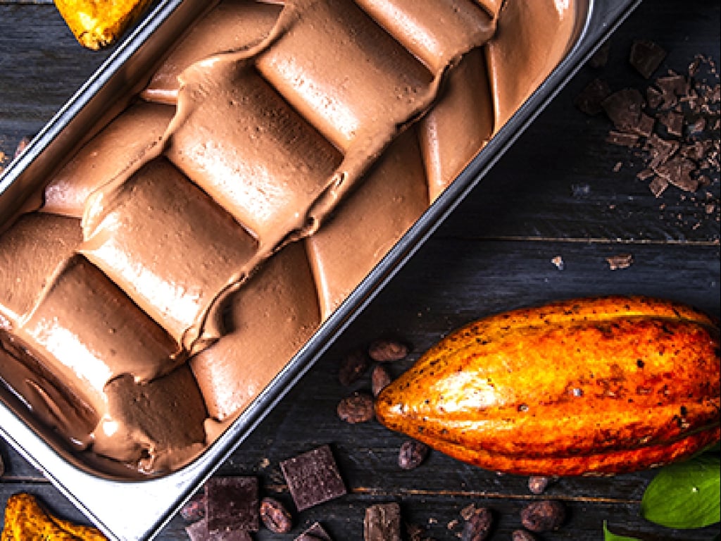 Tour del cacao a Tumaco Scopri l'arte del cioccolato a Nariño