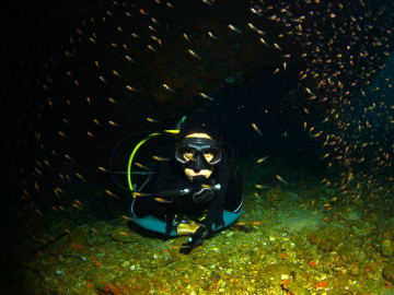 Tour de buceo nocturno en Santa Marta