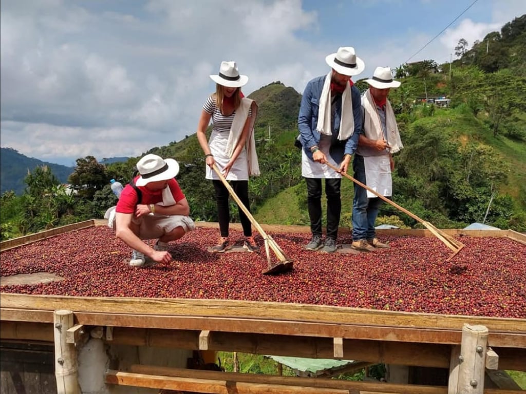 Coffee Tour and Horseback Riding in Medellín