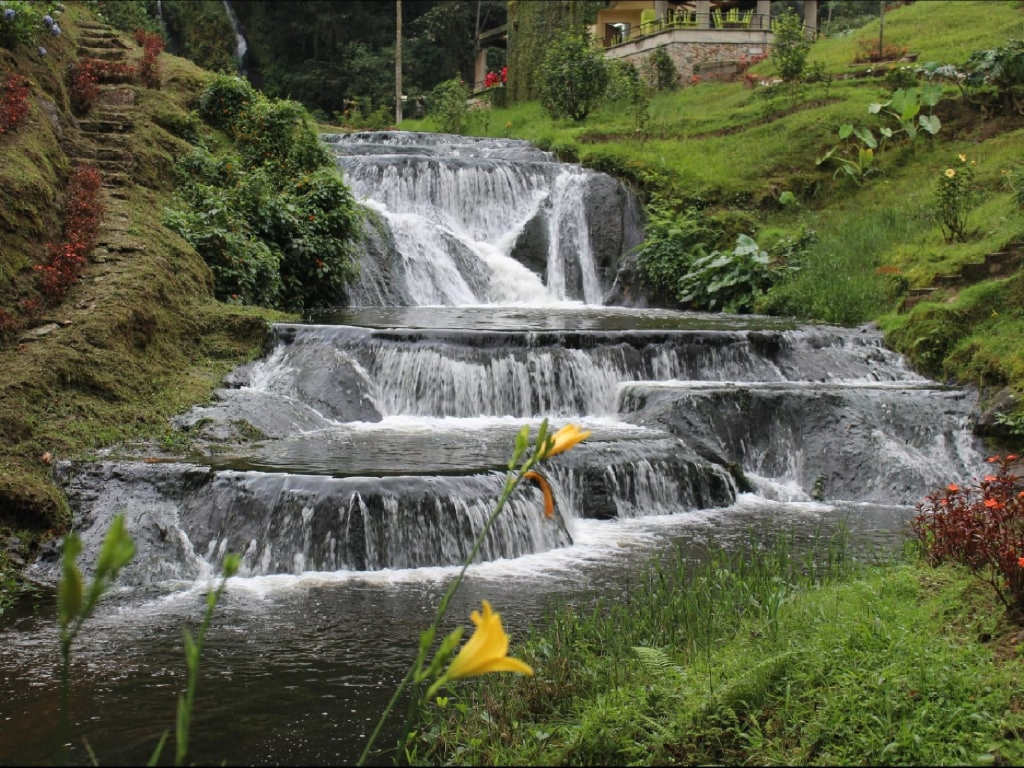 Tour de Café + Termales de Santa Rosa de Cabal