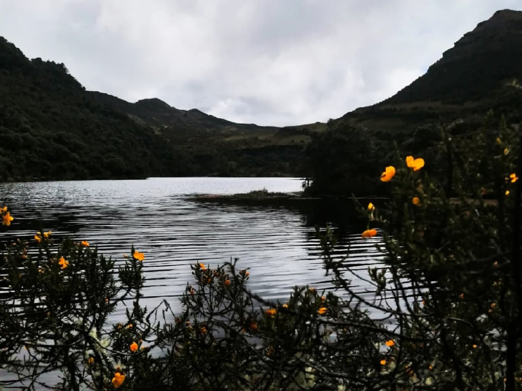 Páramo de Ocetá: Excursion to Laguna Negra