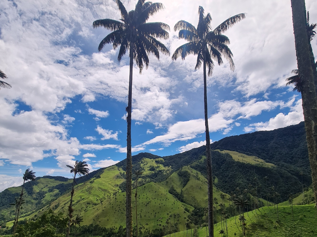 Coffee Axis Plan with Cocora Valley 3 Nights 4 Days