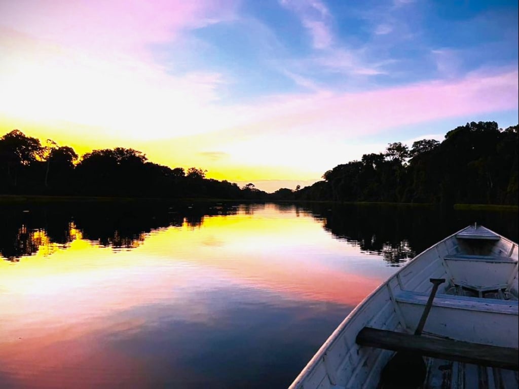 4 Days in the Heart of the Amazon, Pirarucú Plan, Dolphin Watching