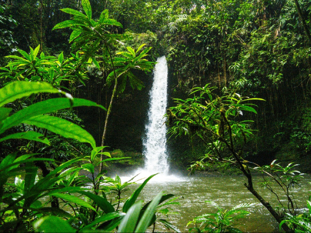 Plan Cascadas y Selva en Putumayo 4 Días y 3 Noches