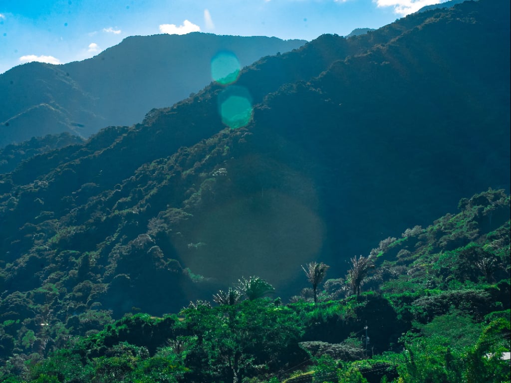 Bunkuany y Anukwe Un Viaje al Corazón de la Naturaleza 3 días y 2 noches