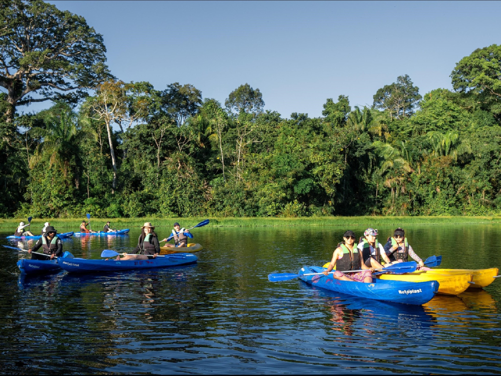 Expedición Amazónica: Conexión Grupal y Naturaleza Viva