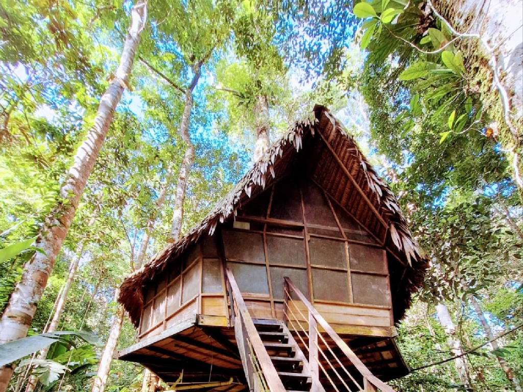 Expedición Amazónica: Conexión Grupal y Naturaleza Viva