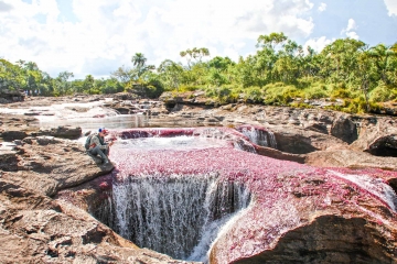 5 day tour to Caño Cristales from Medellin