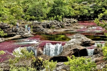 4-day Caño Cristales tour from Medellín