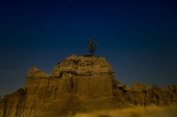 Tour de astronomía en el Desierto de la Tatacoa