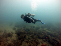Mini curso de buceo en Santa Marta de una inmersión