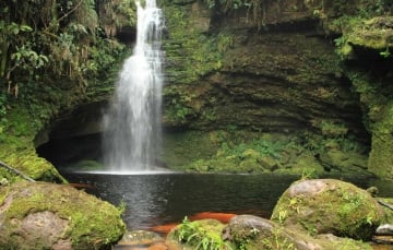 Plan de 2 días al Parque Nacional Natural Cueva de los Guacharos