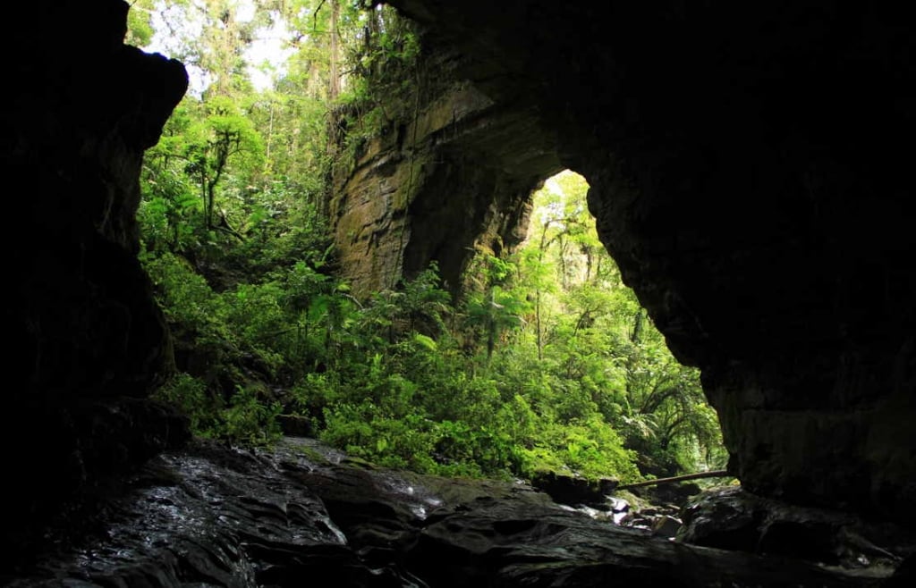 Piano di 2 giorni per il parco delle grotte di Guacharos.