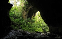 Plan de 2 días al Parque Nacional Natural Cueva de los Guacharos